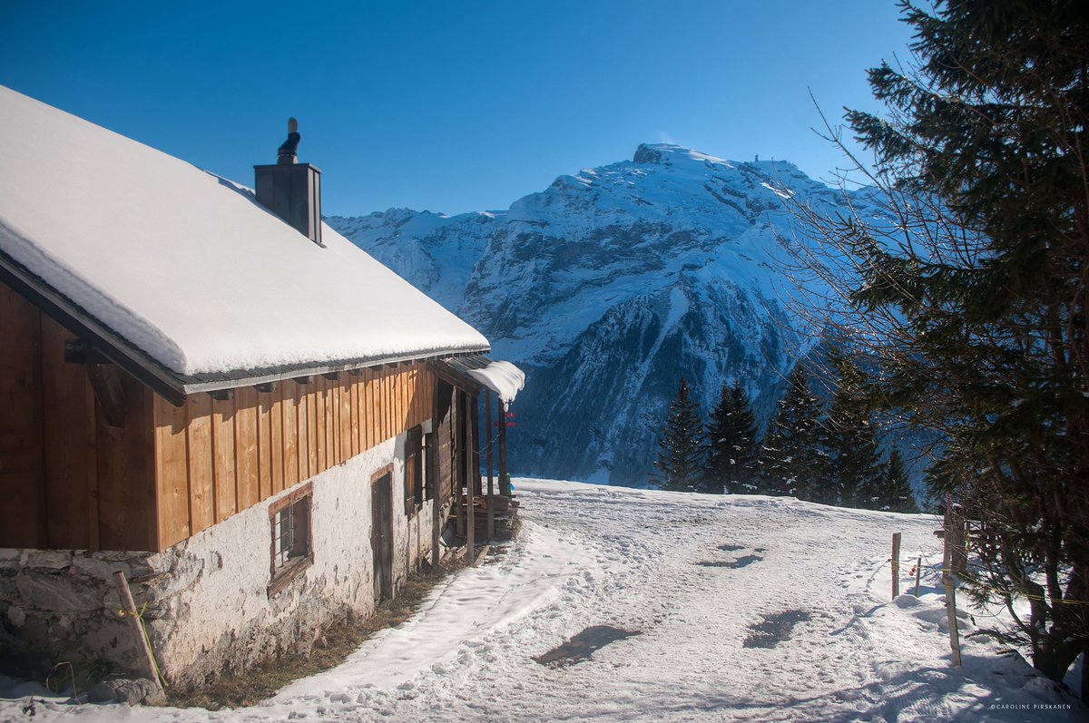 juiz_nidwalden's tweet photo. Geniesse eine Winterwanderung auf dem Brunni oder eine Schlittenfahrt 🛷 von Brunnihütte-Ristis. ☀️
Die Skipiste Brunnihütte-Ristis ist offen und ab morgen auch der Klostermatte Bügellift. ⛷️
ℹ️✅ https://t.co/2NwzVARqI9
#Engelberg #tellpass #Switzerland https://t.co/RD0ftI1L0l