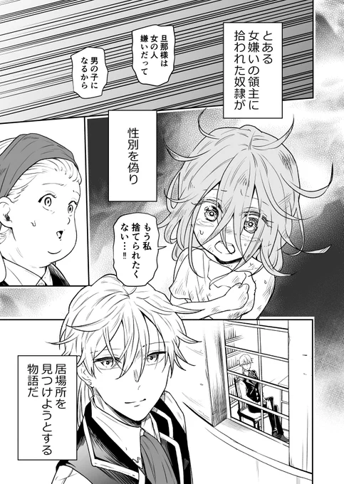(6/6) 