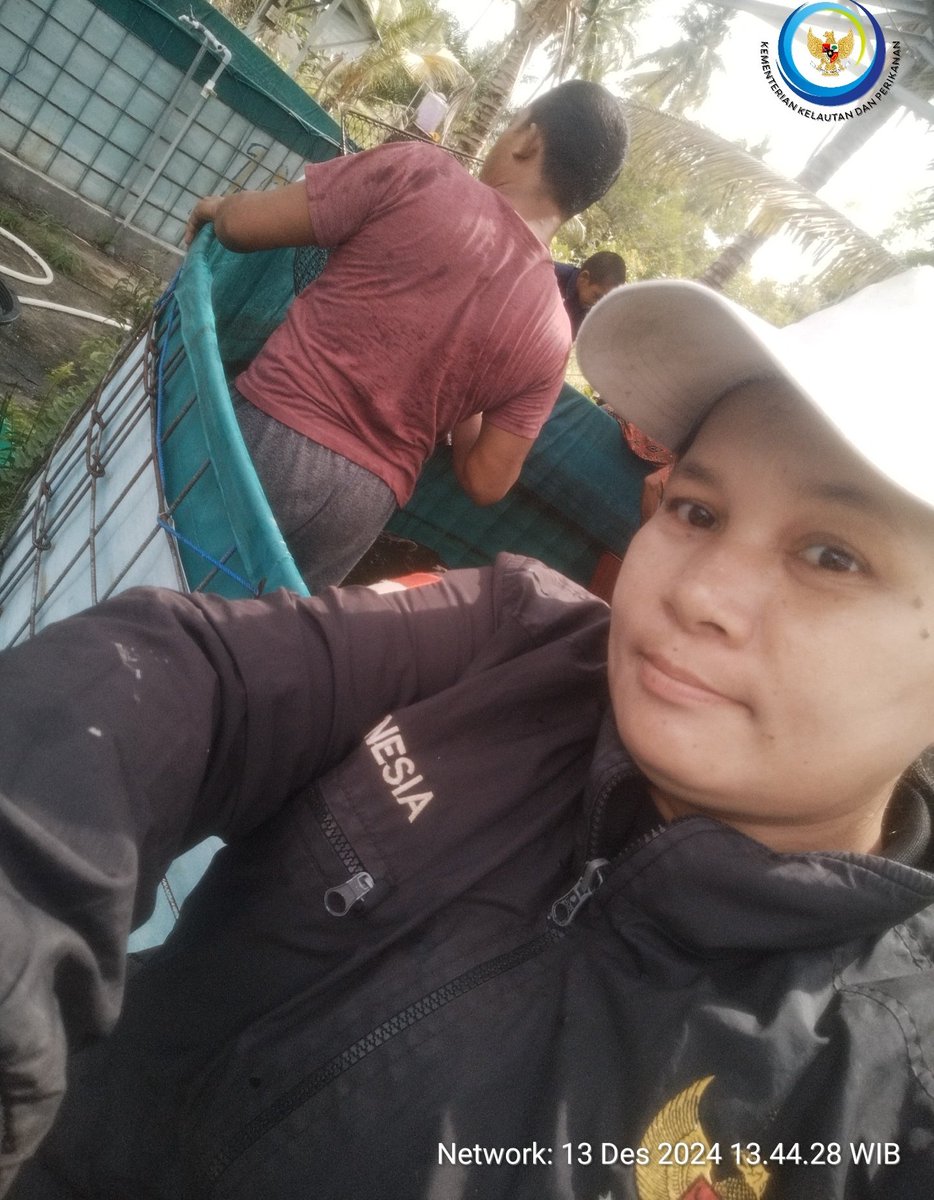 yermiawati's tweet photo. Jumat ( 13/12), Yermiawati Luhkan Kab Sukamara, di POKDAKAN Ulam Sari Desa Sekuningan Baru kecamatan balai Riam, panen ikan patin 50,9 kg, size 2,3 ekor/kg. Harga 25000/kg.
#GiatLuhkanSatminkalGONDOL
#Sukamara
#panen https://t.co/Xikd3U7sMp