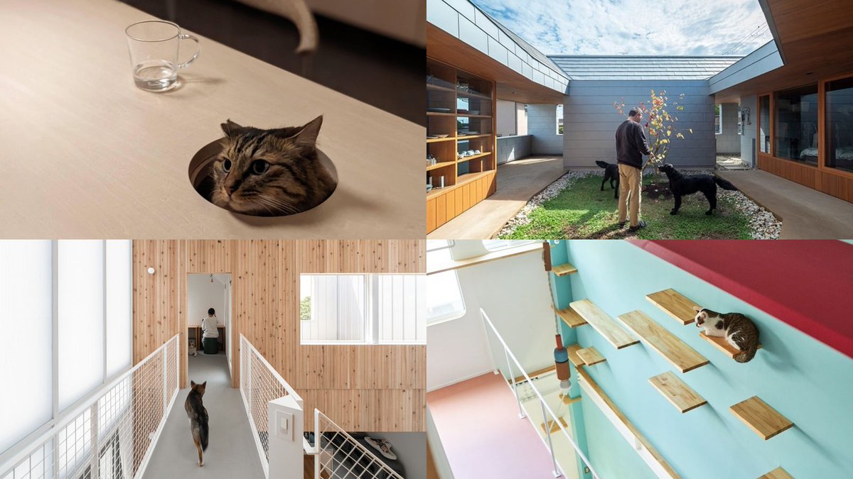 tecture1's tweet photo. 犬／猫と共に生きる家
https://t.co/FVkdtKpzVU
『TECTURE』の投稿作品から、「犬のため／猫のため」が設計の主軸とも言える住宅を8件ピックアップ！2023年における、全国で新たに飼われ始めた犬・猫の数は同年の出生数を超える数字。今後、ペット関係の要望が増えてくるかも！？ #TECTURE https://t.co/kKgqKUlQmG
