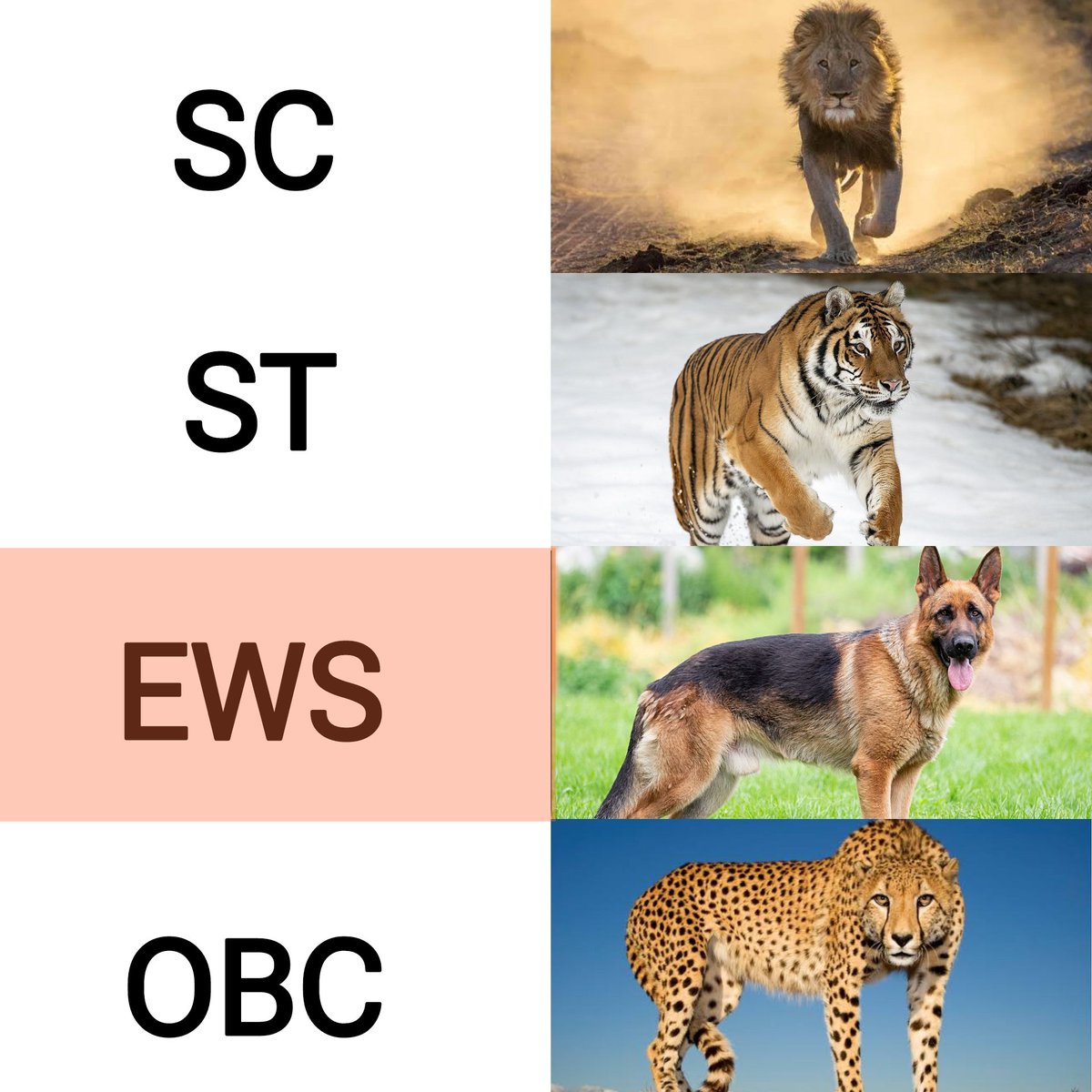 SC/ST/OBC &gt;&gt;&gt;&gt;&gt; EWS