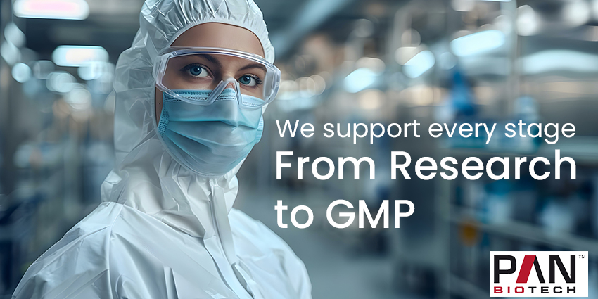 From research to GMP: PAN-Biotech ensures safe, efficient therapy development! 🌟 From RUO to GMP-compliant solutions (EU GMP Annex 1), we support every step. Streamline development, cut costs &amp; ensure compliance. Partner with us to accelerate your success! #Biotech #GMP