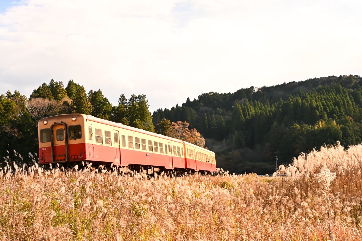 小湊鐵道を12月8日撮影。ひたすら影落ち、逆行に悩ませられました！

思考盗聴反対‼️

#いいねした鉄道ファン全員フォローする