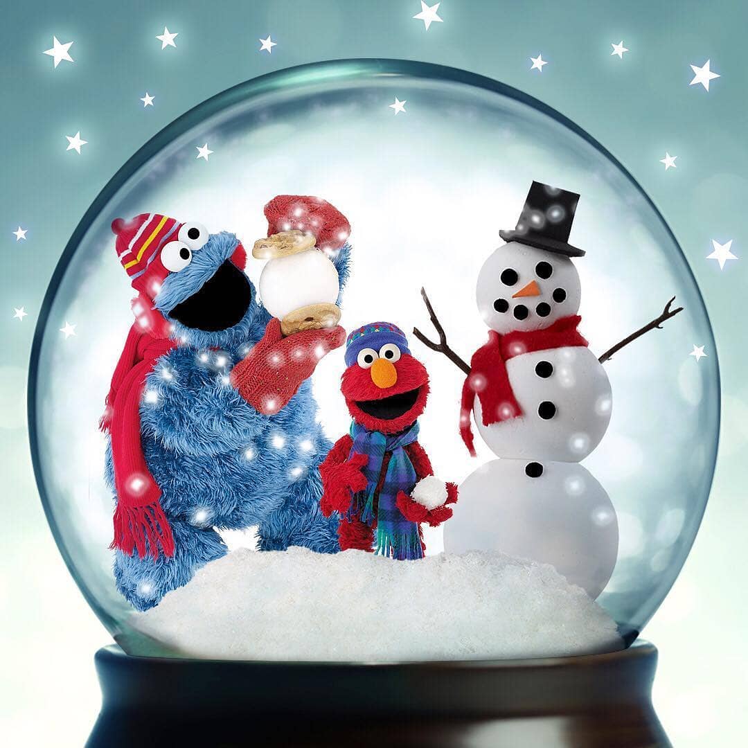 エルモとクッキーモンスターのスノードーム⛄️ みんなが楽しい冬を