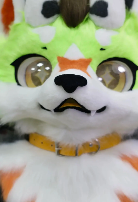 ThomasLuca40752's tweet photo. Adorable furry baby showcase~
🐱🐯🐹🐮
#handmade #furry #kig #furrysuit #FurryFashion #fursuit #handmade #furrycommunity #cosplay #kigurumi #furry #custommade #kigurumimask #FursuitsEveryday https://t.co/HVjzOWhjKO