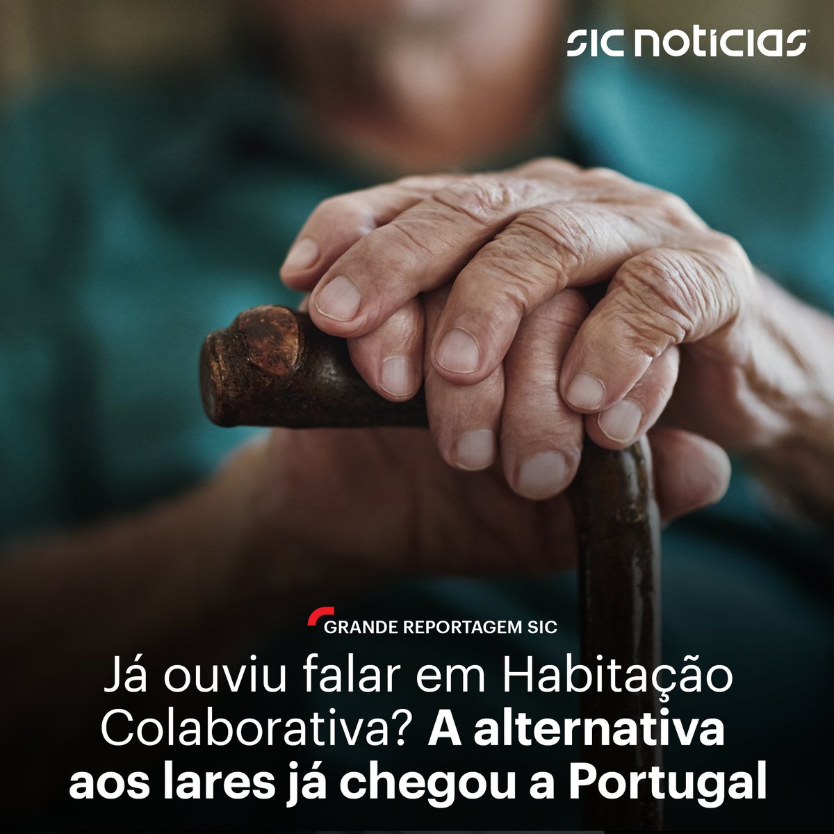 SICNoticias's tweet image. Onde vamos viver quando formos velhos? A resposta à pergunta que colocamos inclui o novo conceito de habitação colaborativa, que nasceu na Dinamarca, espalhou-se pelo mundo e chega agora a Portugal: bit.ly/4faAYI4

#grandereportagem #lares #idosos #dinamarca #portugal
