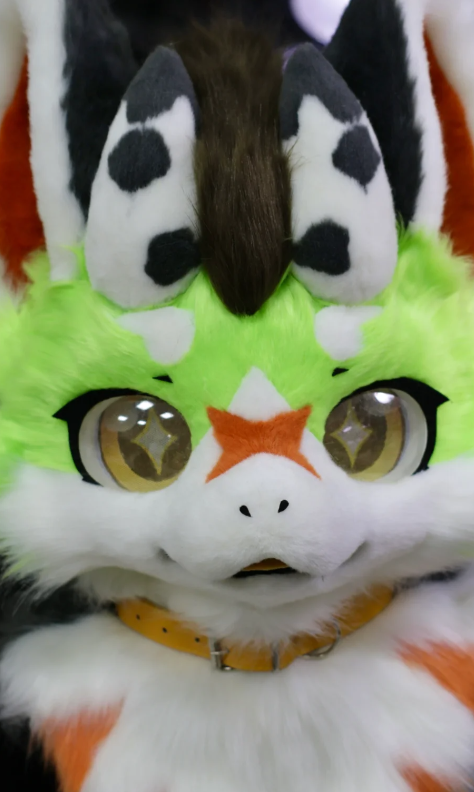 ThomasLuca40752's tweet photo. Adorable furry baby showcase~
🐱🐯🐹🐮
#handmade #furry #kig #furrysuit #FurryFashion #fursuit #handmade #furrycommunity #cosplay #kigurumi #furry #custommade #kigurumimask #FursuitsEveryday https://t.co/HVjzOWhjKO