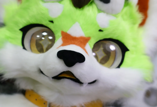 ThomasLuca40752's tweet photo. Adorable furry baby showcase~
🐱🐯🐹🐮
#handmade #furry #kig #furrysuit #FurryFashion #fursuit #handmade #furrycommunity #cosplay #kigurumi #furry #custommade #kigurumimask #FursuitsEveryday https://t.co/HVjzOWhjKO