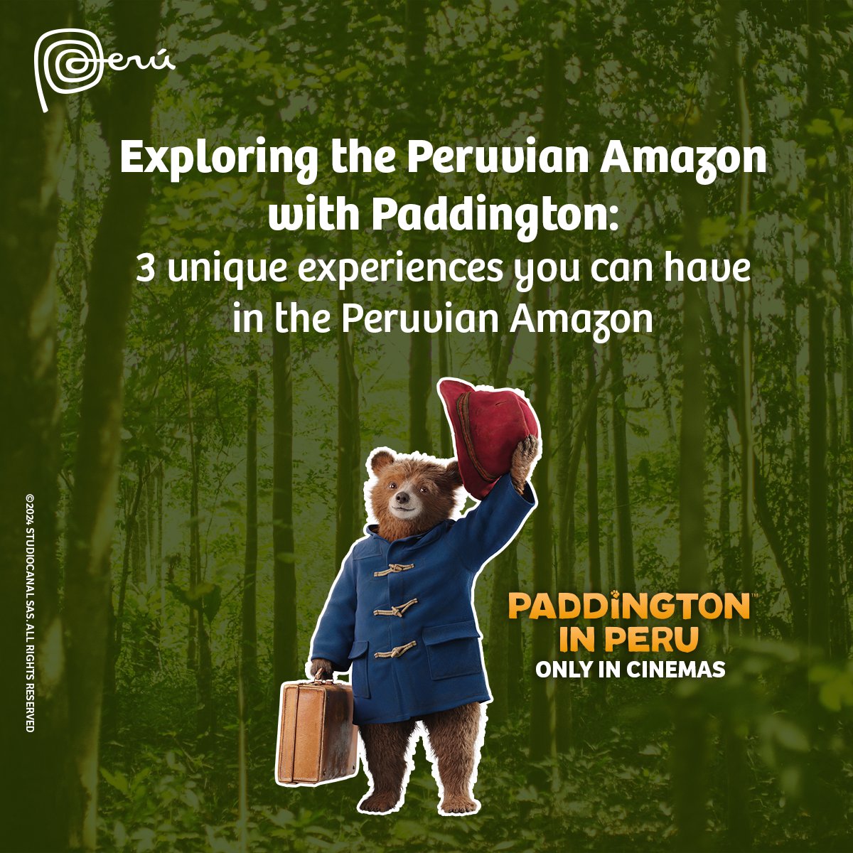 Visit Peru tweet media