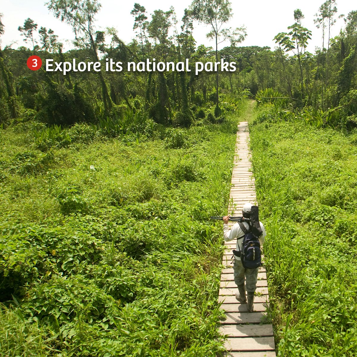 Explore the wonders of the Peruvian Amazon like Paddington! 🐻 From visiting indigenous communities to venturing into lush national parks, here are 3 unique experiences you can enjoy in one of the most magical places.

Learn more about his journey in peru.travel/paddingtoninpe…