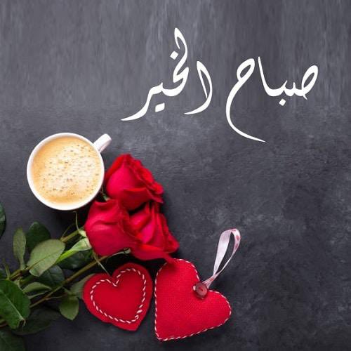 YnoJn's tweet photo. @bebo_rasha https://t.co/9cXA6KnovV