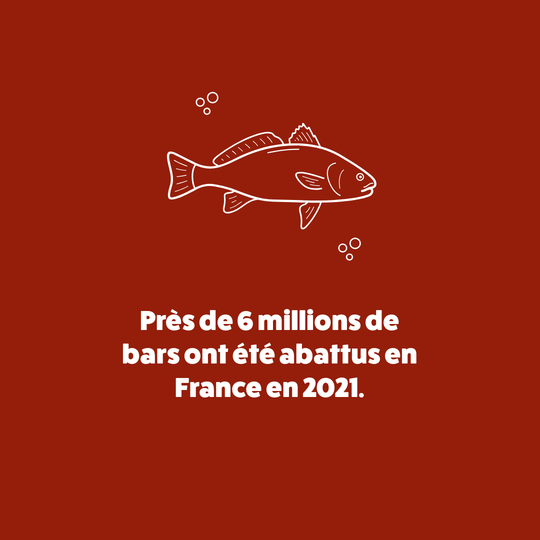 Connaissiez-vous ce chiffre officiel du nombre de #bars abattus en 2021 ?