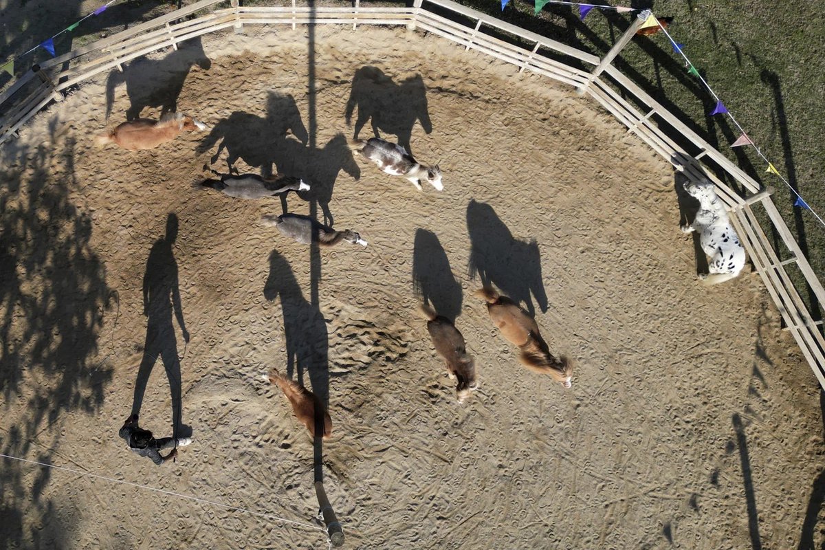 Thomaïs Papaïoannou tweet media