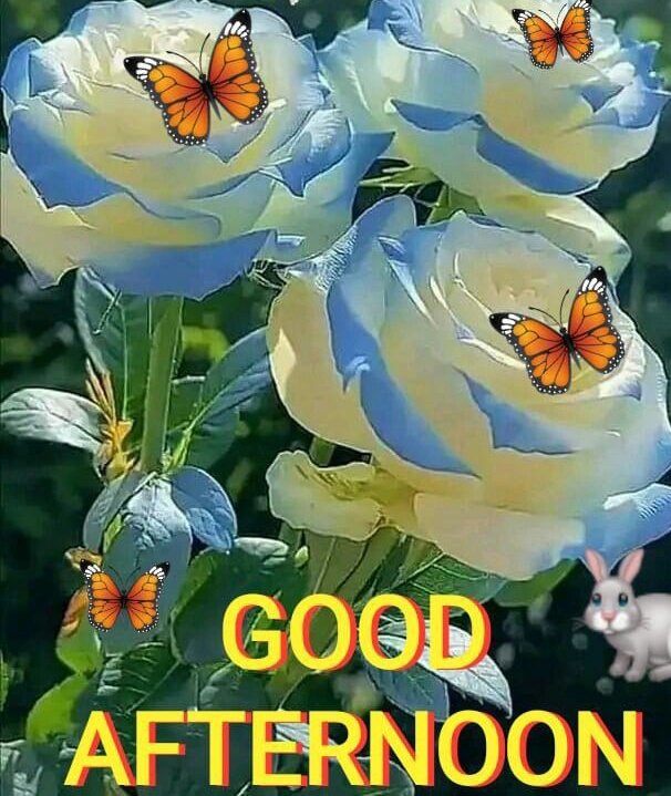 azharalio's tweet photo. Aslam o alikum x family 
Good afternoon 
Will you reply my salam?
#FolloForFolloBack https://t.co/cj9Ob5bR5k