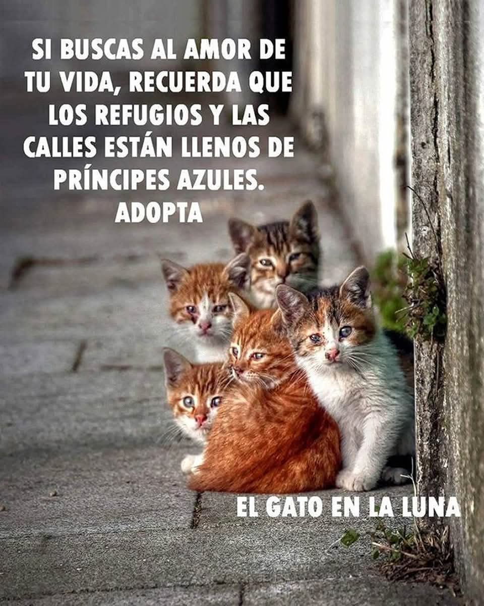AlineNorena's tweet photo. https://t.co/xPRDc3owpY