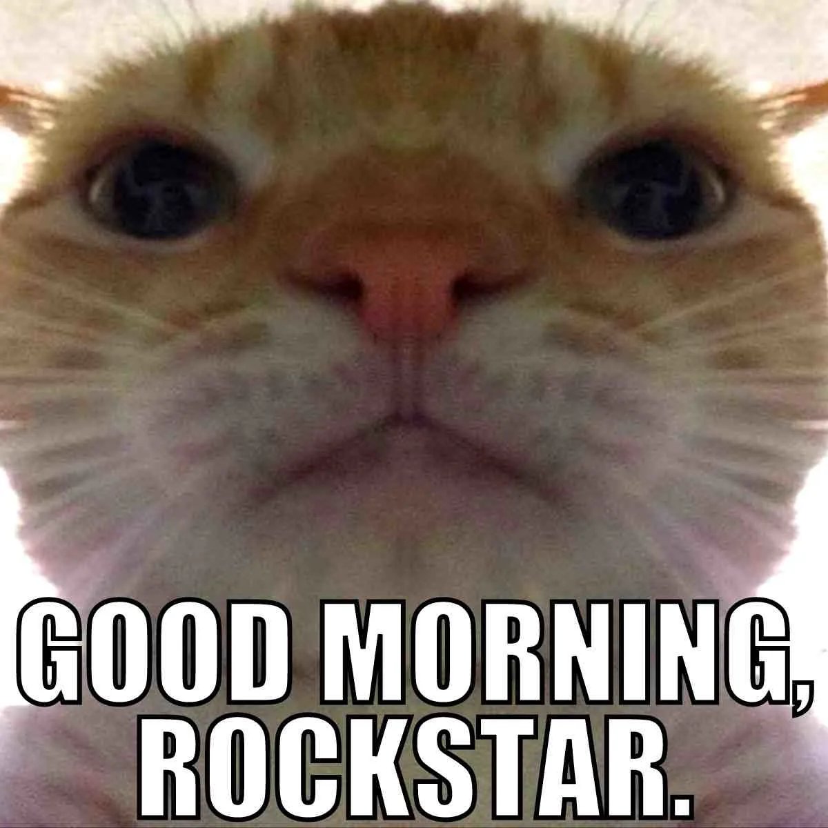 kiveak's tweet photo. Good morning everyone 

Happy Friday! https://t.co/Lo2LyC39ou