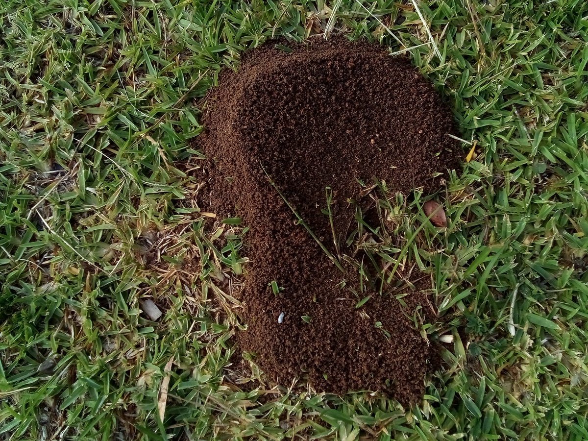 info4u2use's tweet image. Deborah !!? 
Thanx for your presence in the INTERWEBS
ENJOY and spread happiness.
Life is full of #SemanticConnectedness so your happiness is there, but so is sorrow, hate and nastyness, question is which do you promote, how and why do you promote specific topics and dubjects