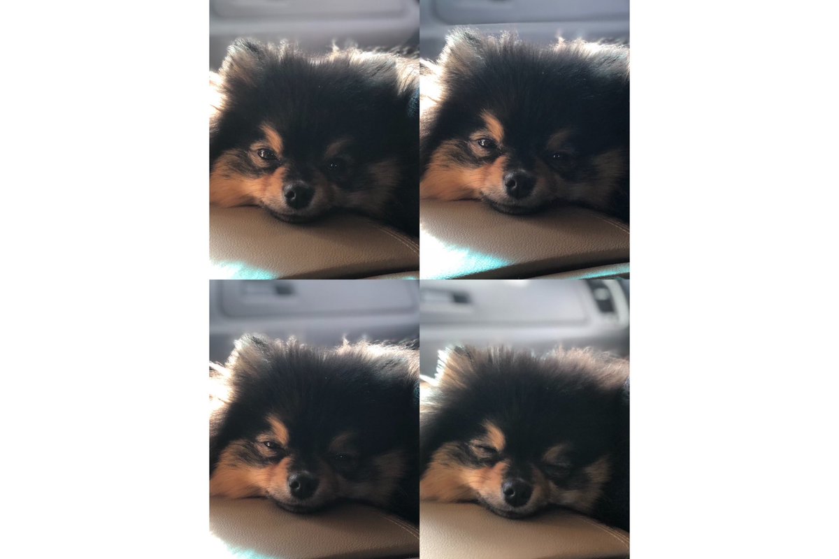 lovememoryroom's tweet photo. 연탄아 많이 보라해💜 https://t.co/qUWC3gNjXm