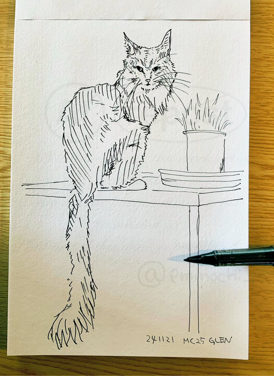 ウチの猫スケッチ🐈‍⬛🎨

猫草、一緒に食べてかない？