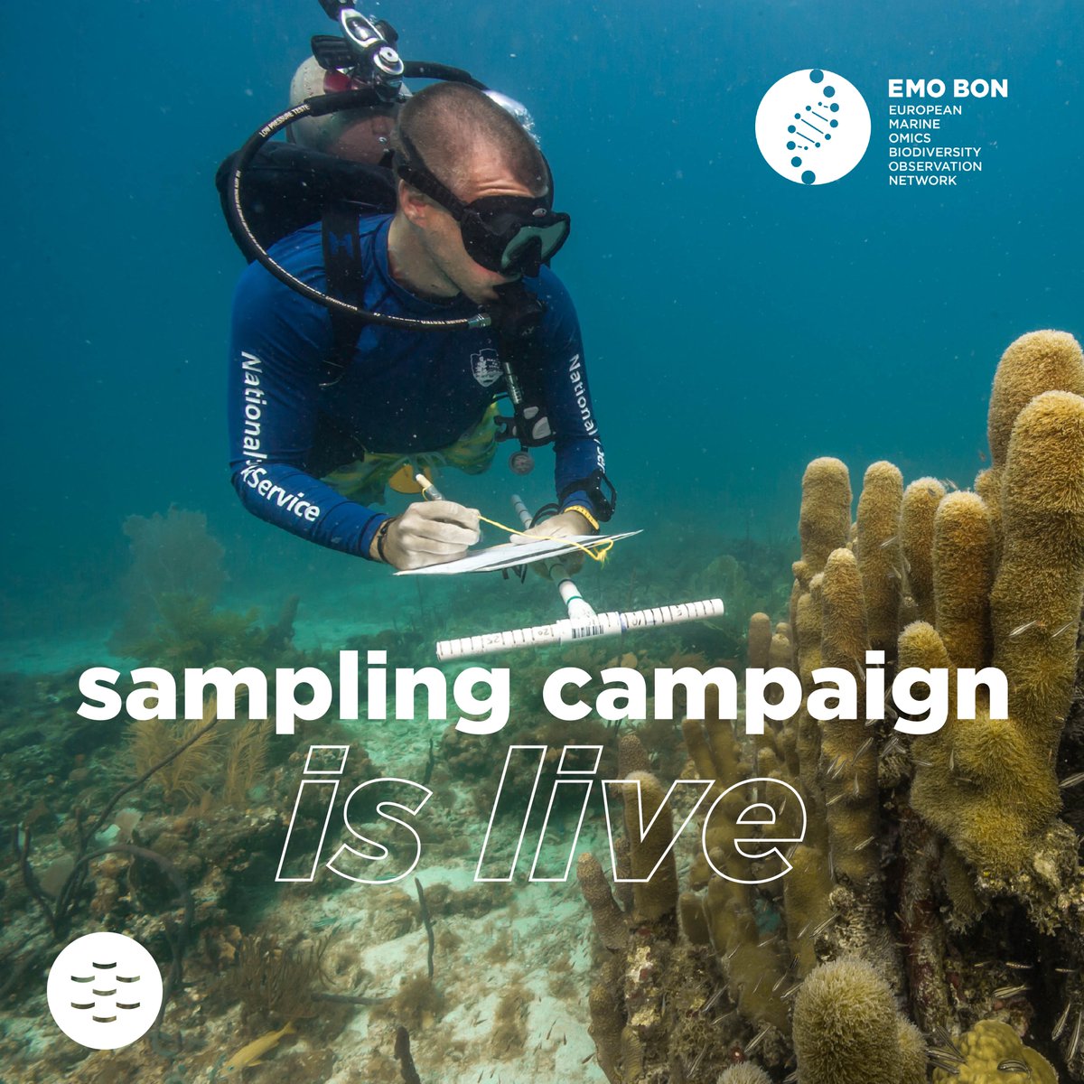 EMBRC (European Marine Biological Resource Centre) (@embrc_eu) on Twitter photo 📢 December #EMOBON sampling activity has started
👉 Scientists are collecting samples from the water column & microorganisms from soft substrates 🦠
👉 This data can help us understand complex questions about marine biodiversity and ecosystems 🌊
<a href="/EmbrcFrance/">EMBRC-France</a> <a href="/EmbrcBelgium/">EMBRCBelgium</a> 📢 December #EMOBON sampling activity has started
👉 Scientists are collecting samples from the water column & microorganisms from soft substrates 🦠
👉 This data can help us understand complex questions about marine biodiversity and ecosystems 🌊
<a href="/EmbrcFrance/">EMBRC-France</a> <a href="/EmbrcBelgium/">EMBRCBelgium</a>