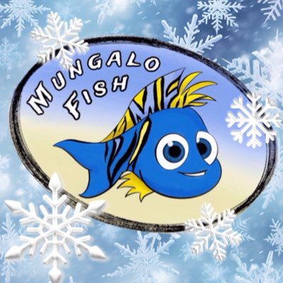 MungaloFish's tweet photo. ‘Tis the season
☃️
#NewProfilePic https://t.co/OjK67zmj0D