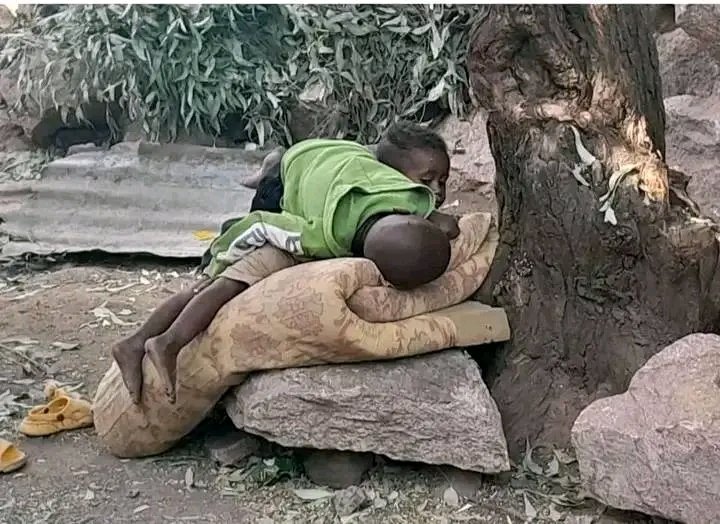 Goyteom37's tweet photo. 1500 መዓልትታት💔
====
ተፈናቐልቲ 1500 መዓልትታት ሓያል ቁሪ፣ ሓያል ሙቐት፣ ሓያል ዝናብ፣ ሓያል ንፋስ ብሓፈሻ ካብ ተፈጥሮን ሰብ ስራሕን ዝመፆም መከራ ብጥሙይ ከርሶም፣ ብዕሩቅ ዝባኖም ኣብ ህልቂት ይርከቡ።
#ይኣክል
#1500_መዓልትታት_ዘይዛሪ_ፅንተት https://t.co/2C8wcZwQpZ