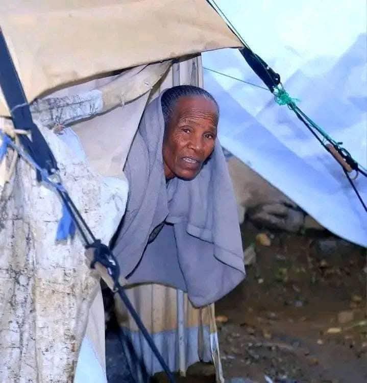 Goyteom37's tweet photo. 1500 መዓልትታት💔
====
ተፈናቐልቲ 1500 መዓልትታት ሓያል ቁሪ፣ ሓያል ሙቐት፣ ሓያል ዝናብ፣ ሓያል ንፋስ ብሓፈሻ ካብ ተፈጥሮን ሰብ ስራሕን ዝመፆም መከራ ብጥሙይ ከርሶም፣ ብዕሩቅ ዝባኖም ኣብ ህልቂት ይርከቡ።
#ይኣክል
#1500_መዓልትታት_ዘይዛሪ_ፅንተት https://t.co/2C8wcZwQpZ