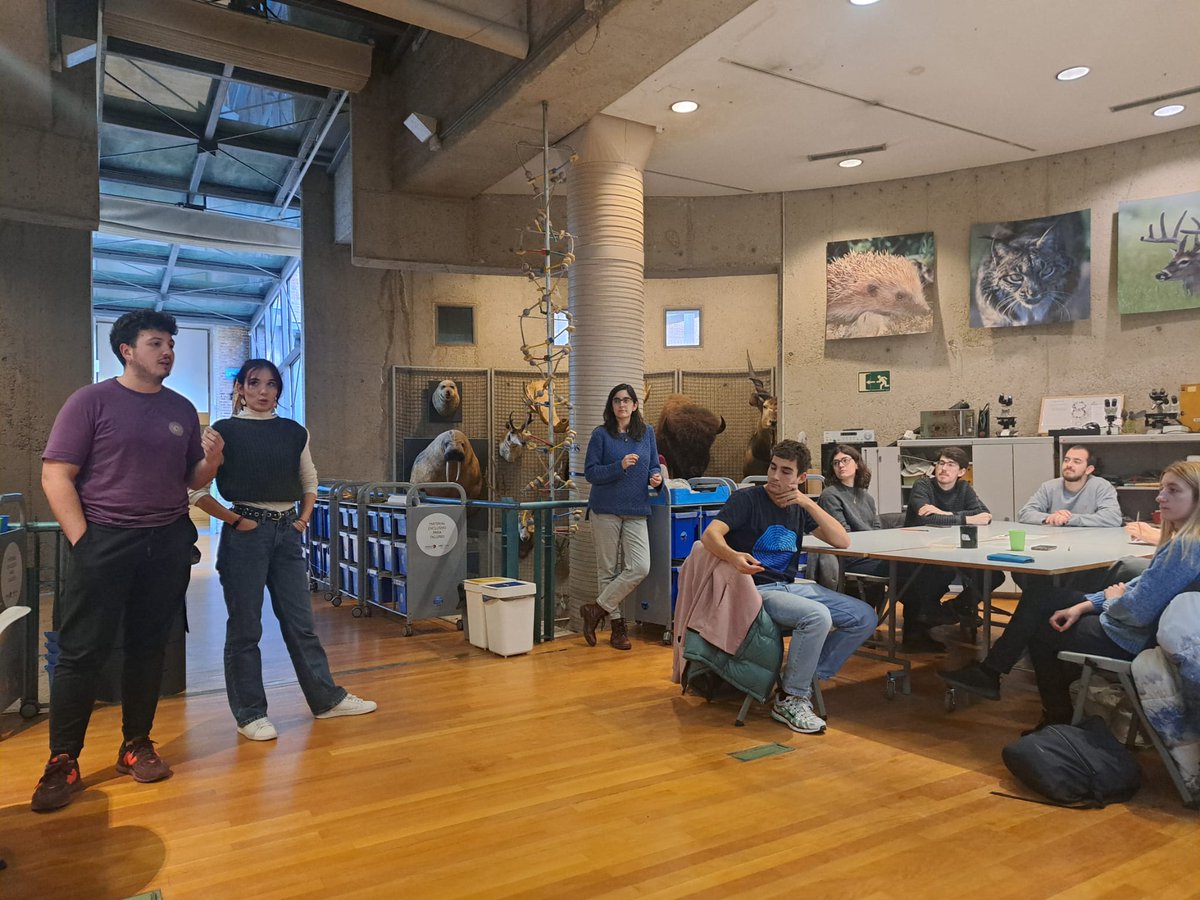 pertierralab's tweet photo. Ayer, para cerrar el año, tuvimos una sesión especial de nuestro habitual #JournalClub en el que, tras debatir el paper semanal, pudimos adentrarnos en el mundo de la pintura con impresiones 3D de diversos invertebrados

Esperamos que os lo pasarais genial! Nos vemos en 2025!! https://t.co/Q2tSXQBSaQ