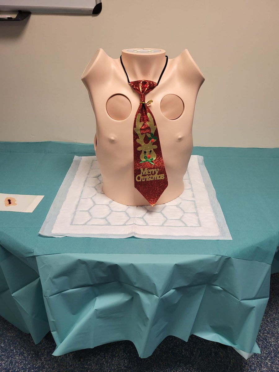 nhsl_meded's tweet photo. Merry Christmas from the manikins at Medical Education 🎅🏼🎄 https://t.co/KjbiuONUQv