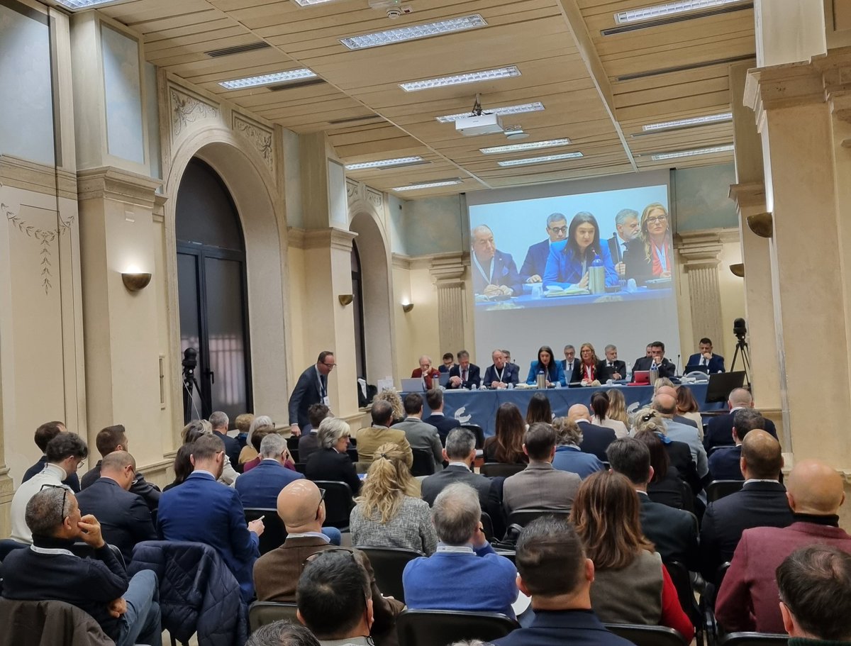 Iniziano a #Roma i lavori dell'ultimo Consiglio nazionale della #FNOPI dell'anno 2024.