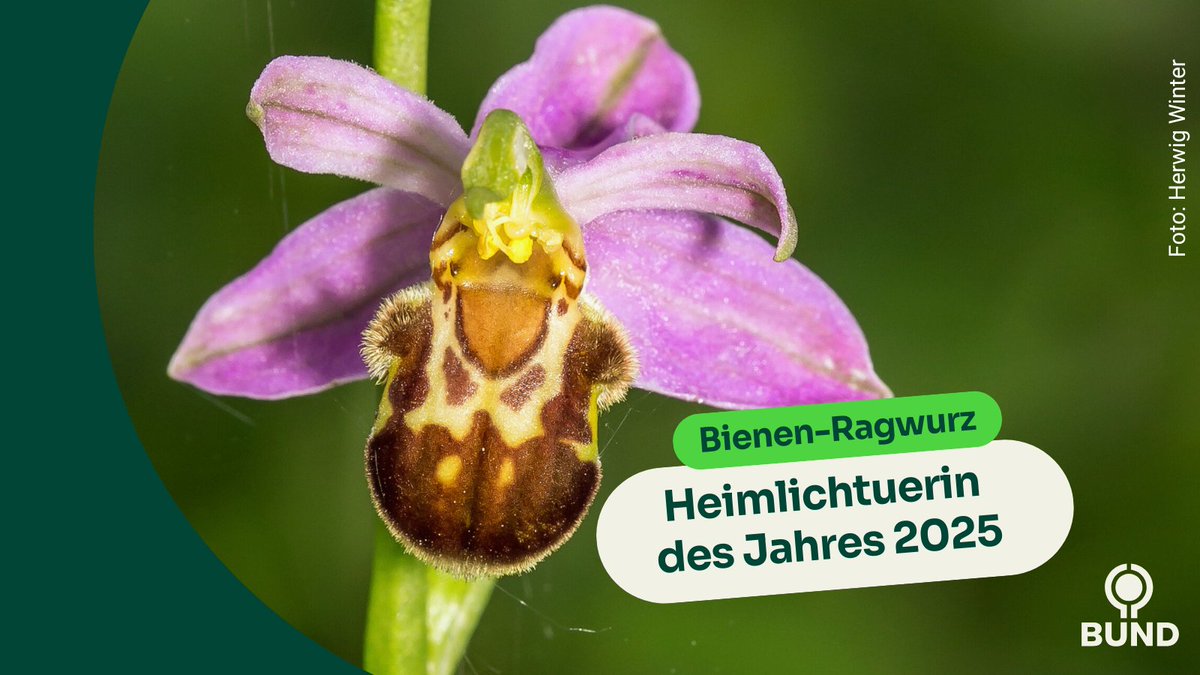 BUND Hessen tweet media