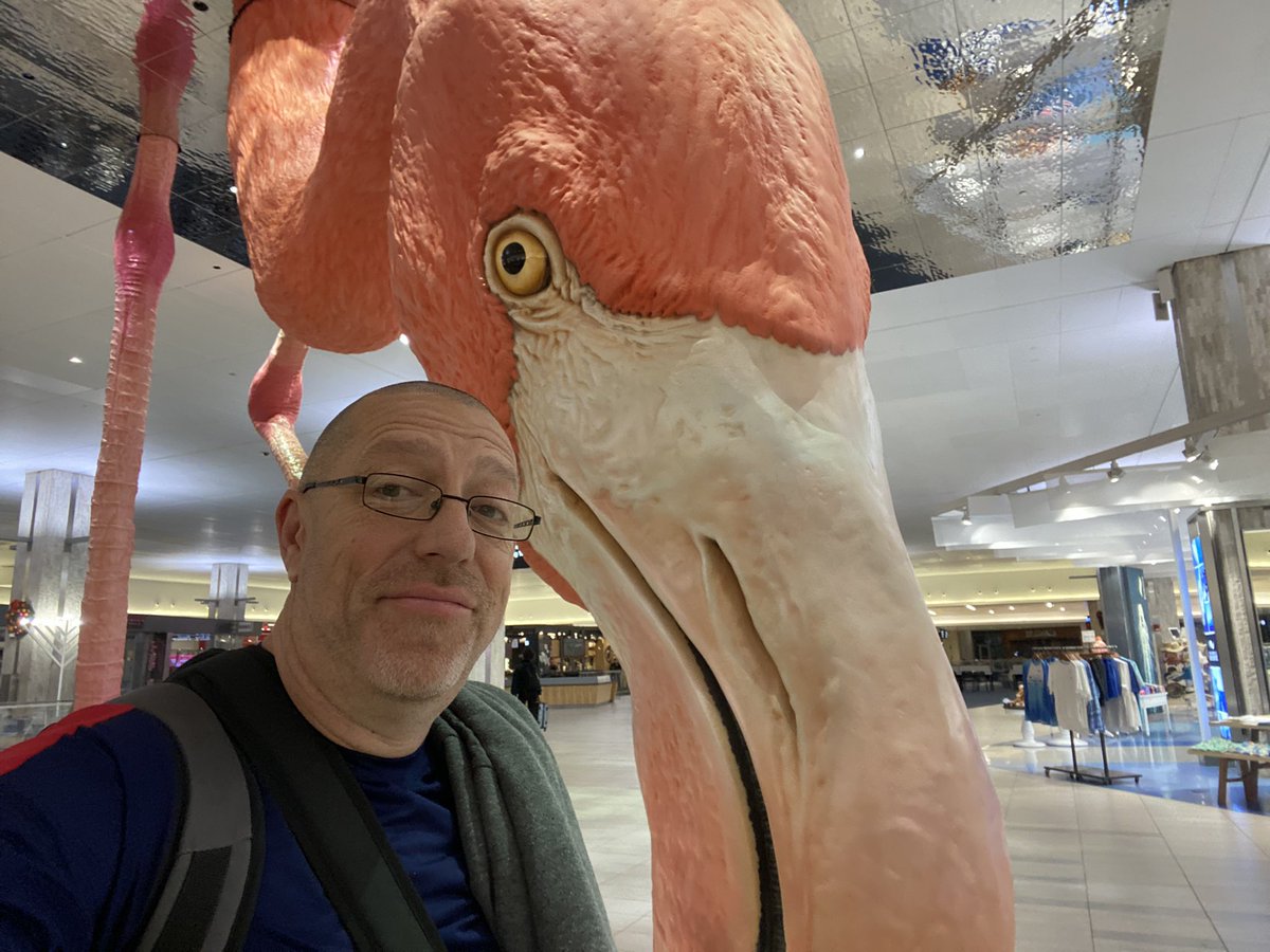 THEGodLee's tweet photo. Making flights early https://t.co/GSeXz2UtcI