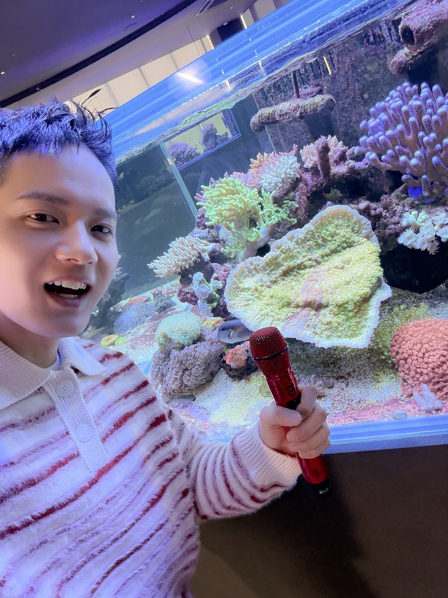 [📂]

📂 B:CHIVE
└📁 #김범수의듣고싶다 

그래, 한번 물어보자…
언제까지 귀여울 작정인데? 

#비투비 #BTOB
#서은광 #SEOEUNKWANG
#이민혁 #LEEMINHYUK
#임현식 #LIMHYUNSIK
#프니엘 #PENIEL