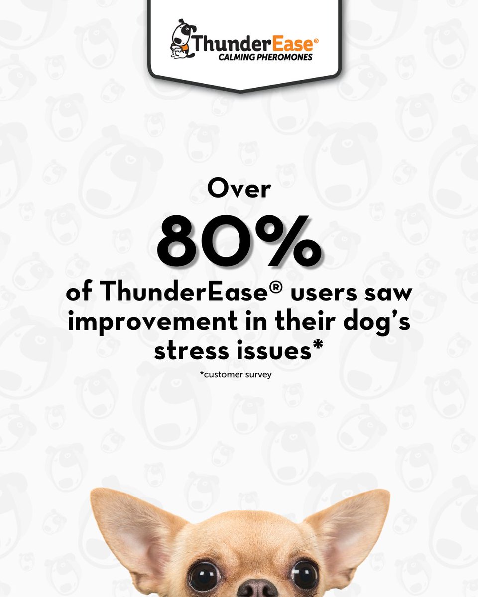 You've seen the ThunderShirt, and even ThunderWunders, but have you thought about giving ThunderEase a try? This may be your sign 😁🐶