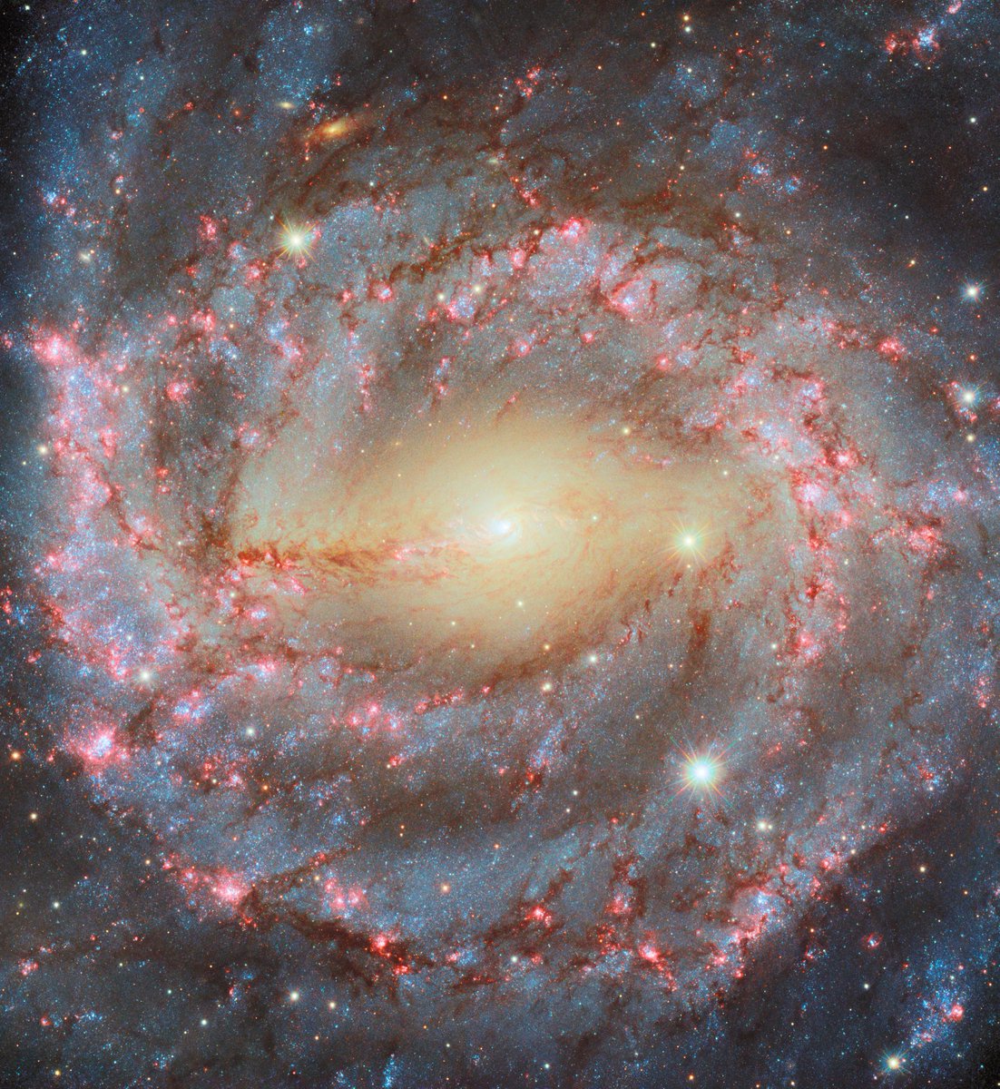 NASAHubble's tweet photo. Galactic glory 🤩

This spectacular #HubbleFriday view shows the galaxy NGC 5643.

Located 40 million light-years away, this is a "grand design" spiral galaxy, meaning that it has a symmetrical form with two large spiral arms that are clearly visible: https://t.co/wu7M7cvJfB https://t.co/BCNAUvcm88
