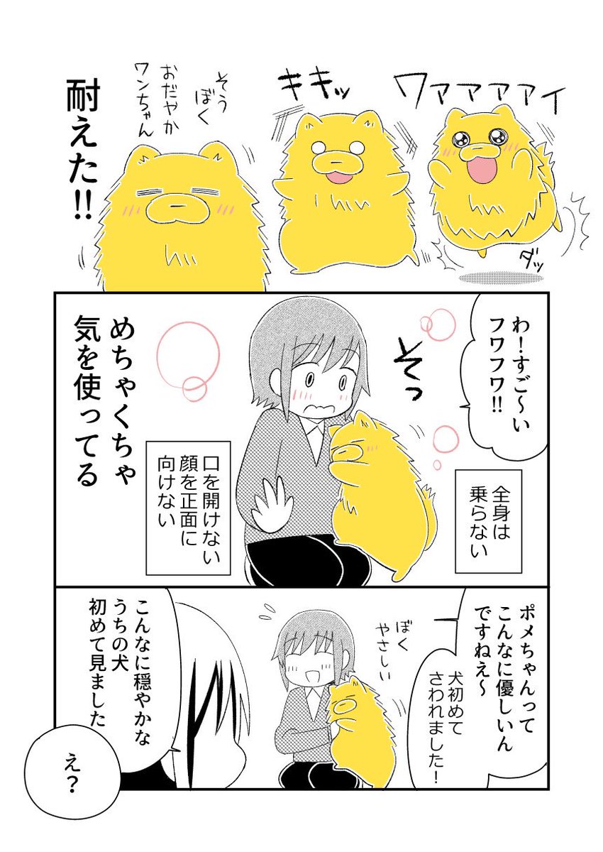 宗次郎が相手をよく見て態度を変えるの、これもそうですね。犬が本当に苦手な人にちゃんと合わせてました。
自制しようと思えばデキル犬✨🐶
(いつもしてほしい…)
#宗次郎Jr 