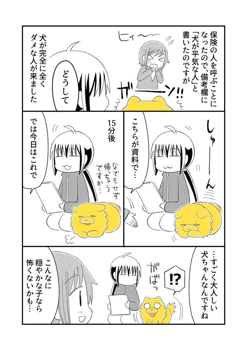 宗次郎が相手をよく見て態度を変えるの、これもそうですね。犬が本当に苦手な人にちゃんと合わせてました。
自制しようと思えばデキル犬✨🐶
(いつもしてほしい…)
#宗次郎Jr 