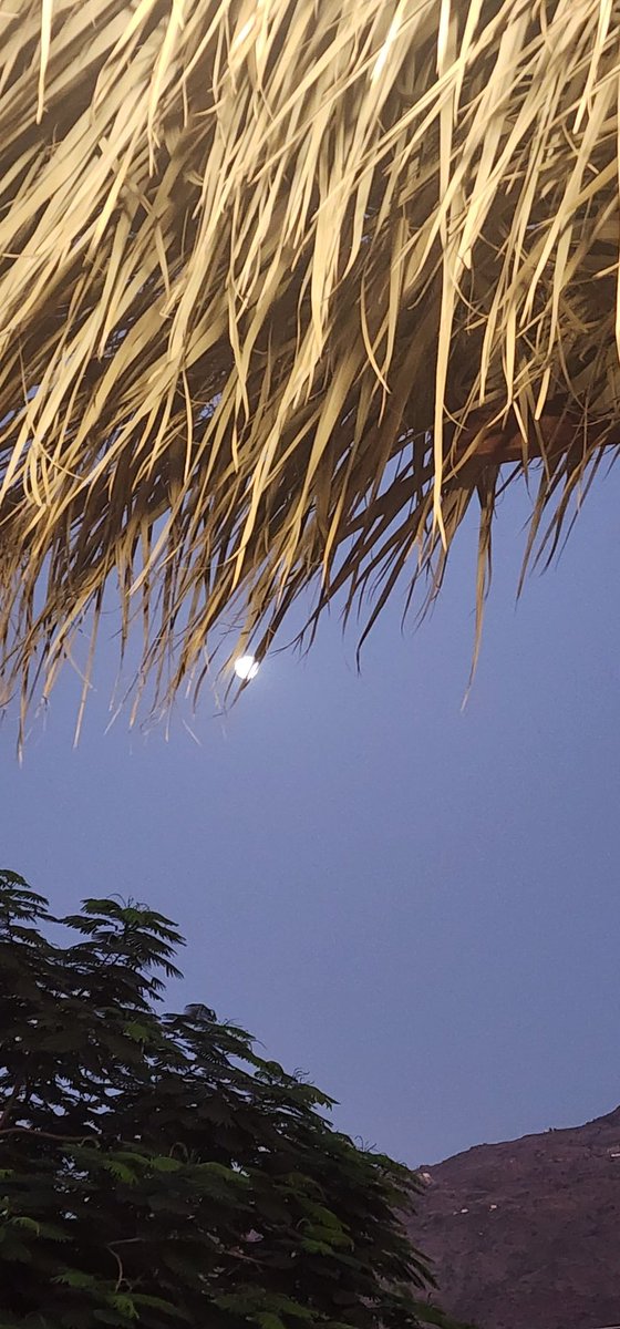 بلغيث السيد (@faris417015104) on Twitter photo 