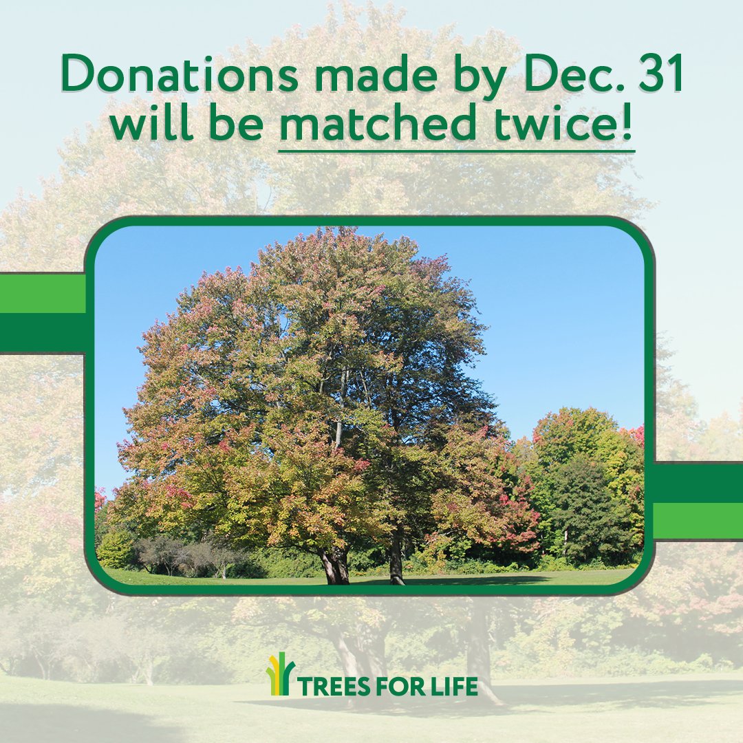 📣UPDATE: Thanks to our incredible supporters we have already reached our initial $100,000 goal to match the Jackman Foundation. Now, an anonymous donor has come forward and pledged an additional $50,000 to match by December 31st.