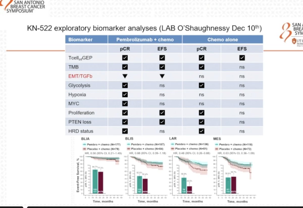 Sara Tolaney tweet media
