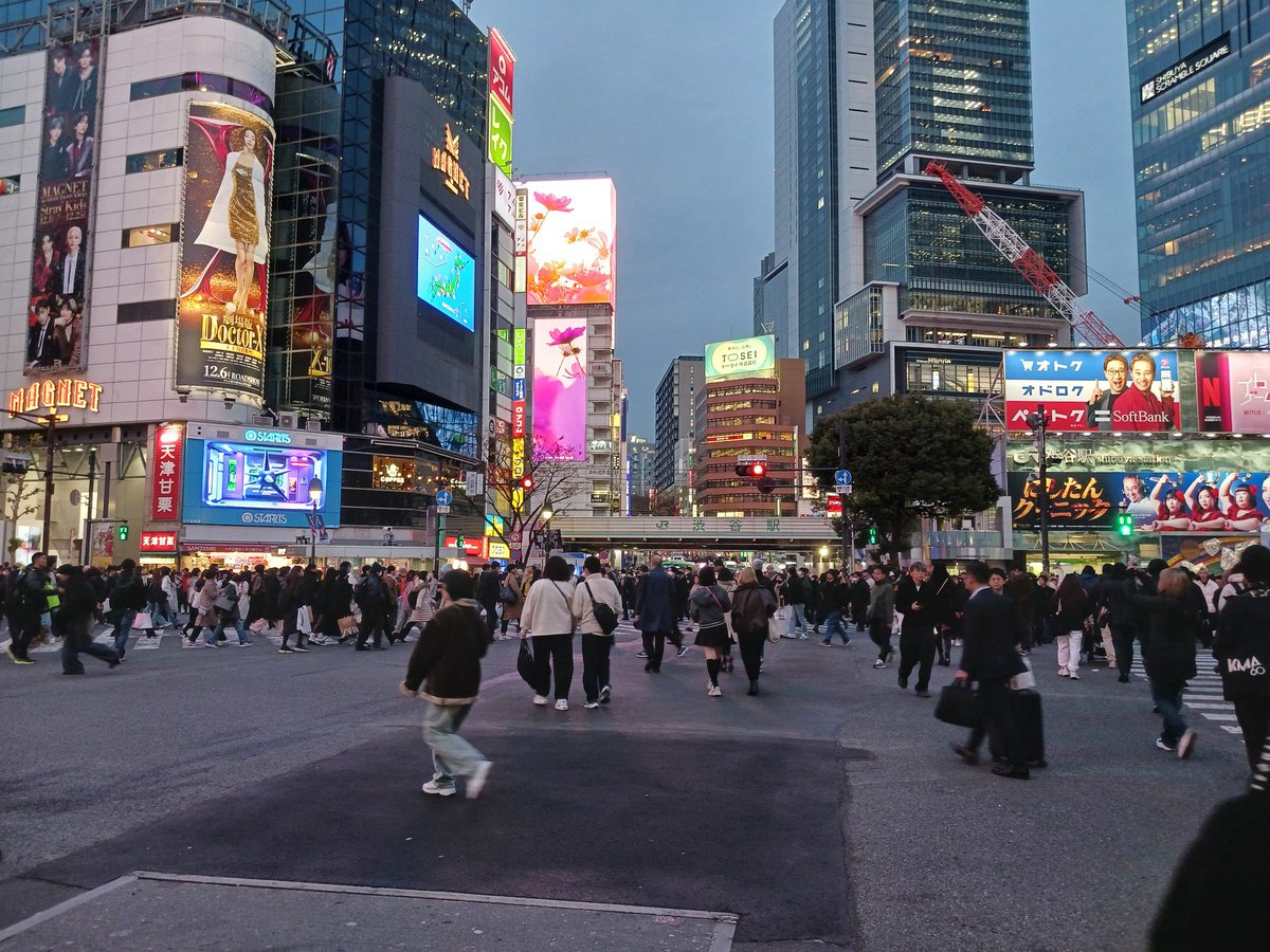 supika4512's tweet photo. 今日は忘年会に招待され渋谷へ。
夕方の渋谷は寒かったけど街行く若者はみな薄着で足を出して歩いている人も多くパワーがみなぎっていました。
寒さに負けないよーに今年を乗り切りたいですね。 https://t.co/iHrWb6ovmj