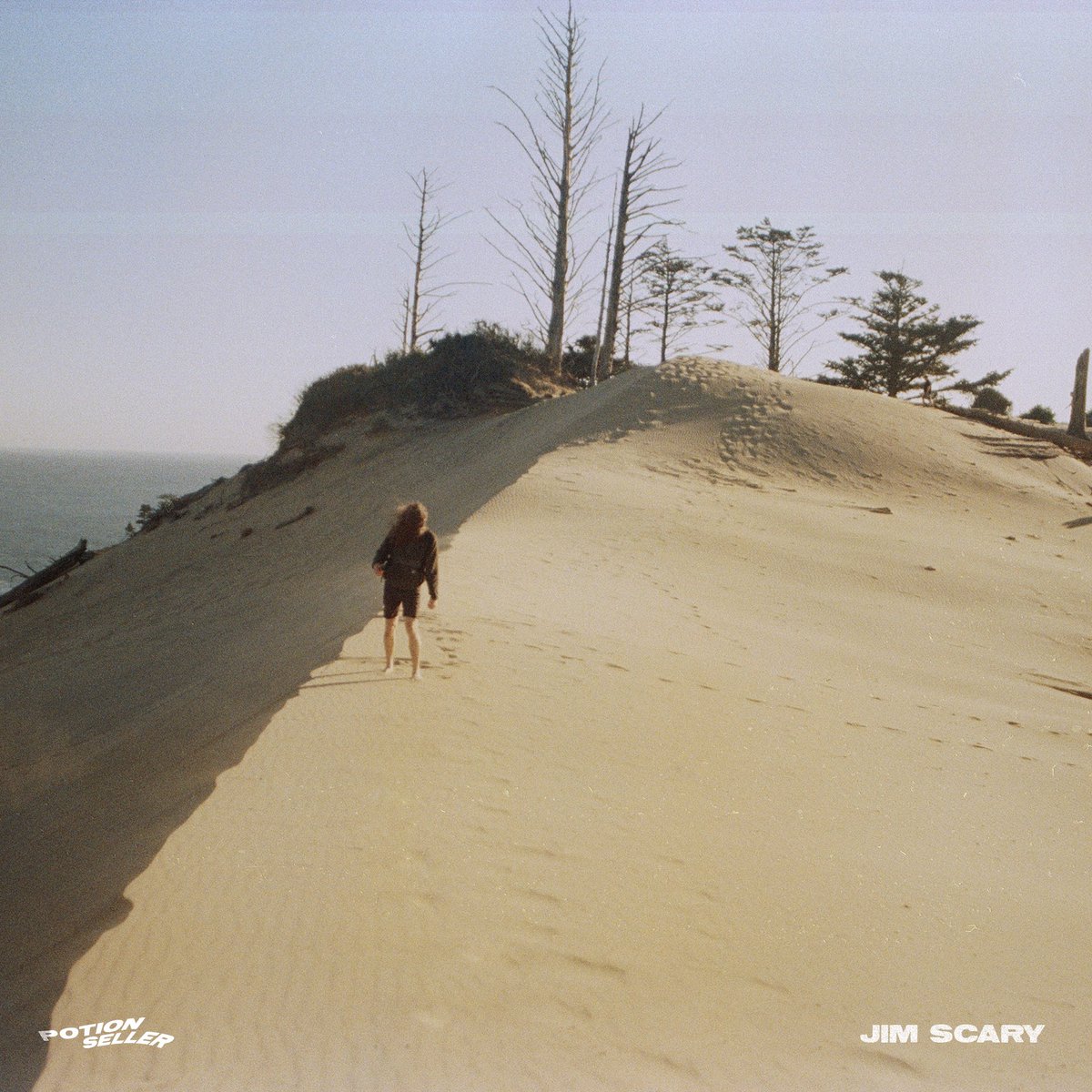 Potionseller tweet media