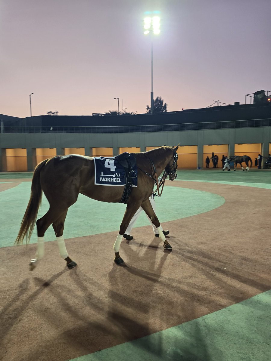 mert's tweet photo. Holy crap they made @photofinishgame NFTs into these real-life animals called horses 🤯 https://t.co/k23mj80vpi