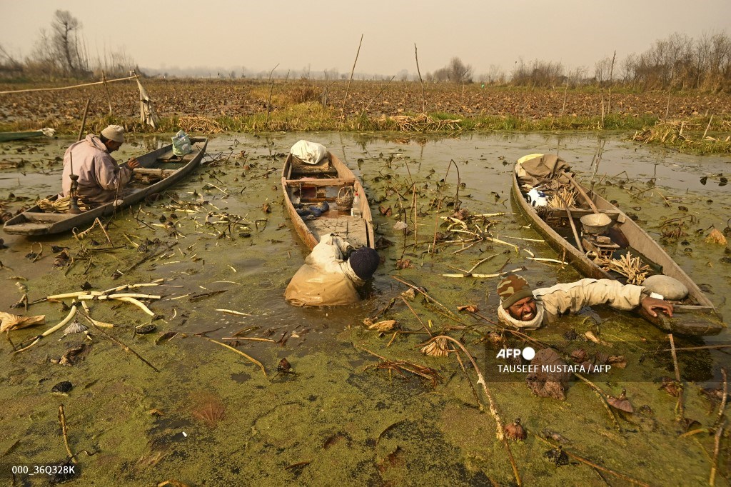 AFPphoto's tweet photo. #AFP LES PHOTOS DE LA SEMAINE (7-13 décembre) https://t.co/78hMWs3zZ9 https://t.co/jsCGFKk62v