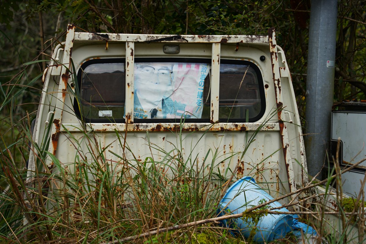 軽トラの荷台に生える緑を愛でていきたい