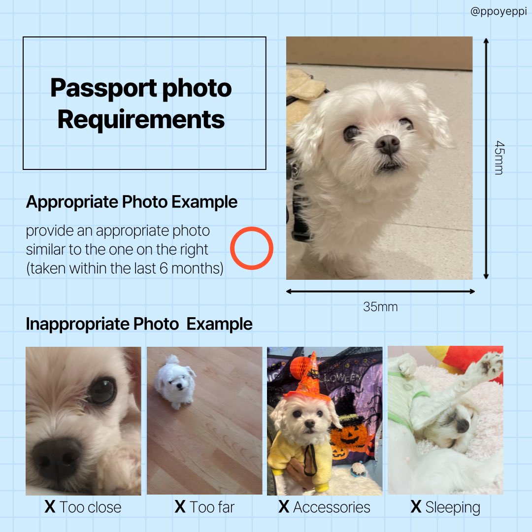 ppoyeppi's tweet photo. Passport photo Requirements ✨ https://t.co/gemz1A7YZb