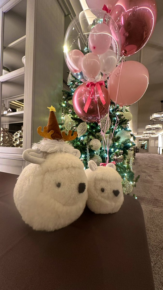 kahonhon24's tweet photo. 来年も飛躍の年になりますように🤲
飛べるノミ側であれるよう精進します🧚
#勝友美
#ヴィクトリークラブ
#ヴィクトリースーツ
#remuse
#ザストリングス表参道 https://t.co/sxSyKB0nU0