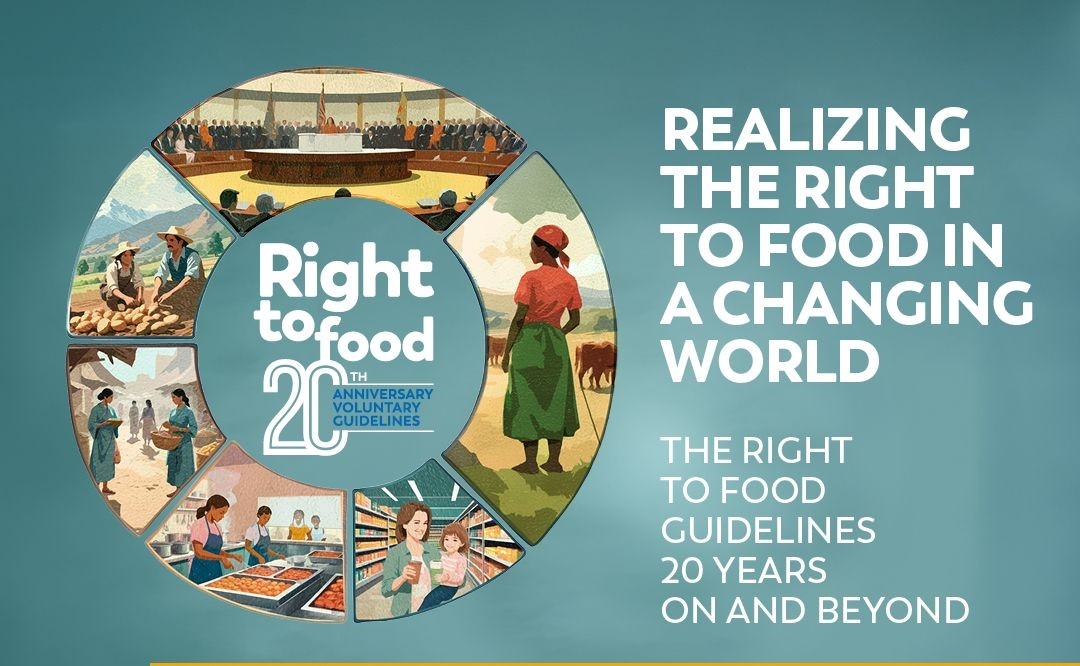 ConsorzioCursa's tweet photo. #RightToFood Per il 20° anniversario delle Linee Guida @FAO per il #DirittoAlCibo, l’Osservatorio Insicurezza e #PovertàAlimentare del CURSA pubblica il "Documento di Visione", che rappresenta l’impegno nel contrastare la #povertàalimentare in Italia. https://t.co/Yw2wGYbi35 https://t.co/l57DthhUAf