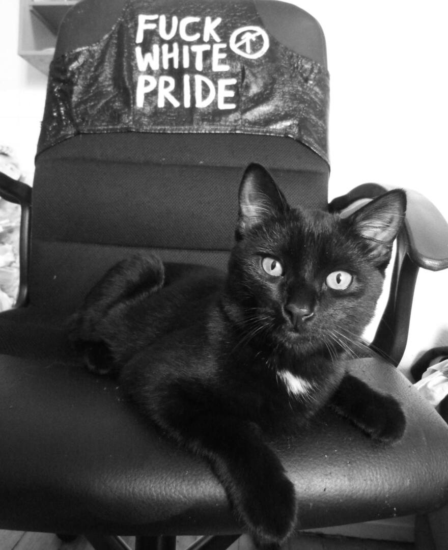 Anarcho_Cats's tweet photo. https://t.co/PRwUtgNcAC