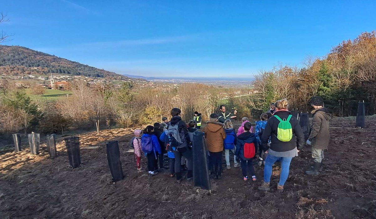 #COFOR07 Cette année, la Forêt pédagogique de St-Alban d'Ay, en collaboration avec l' <a href="/ONF_Officiel/">Office national des forêts</a>, prend en main l'avenir de la forêt du Grandbeau. Au programme : la plantation d'une 50aine de jeunes plants pour façonner l’avenir de la forêt communale.
ledauphine.com/environnement/…